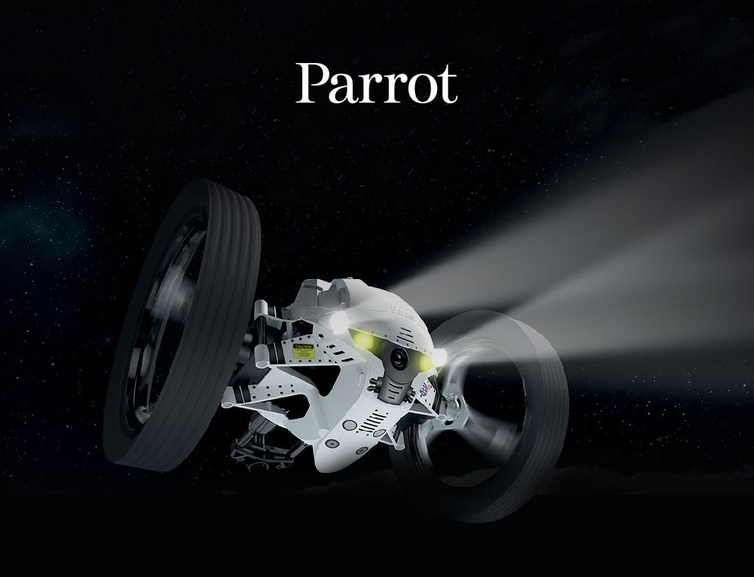 Parrot